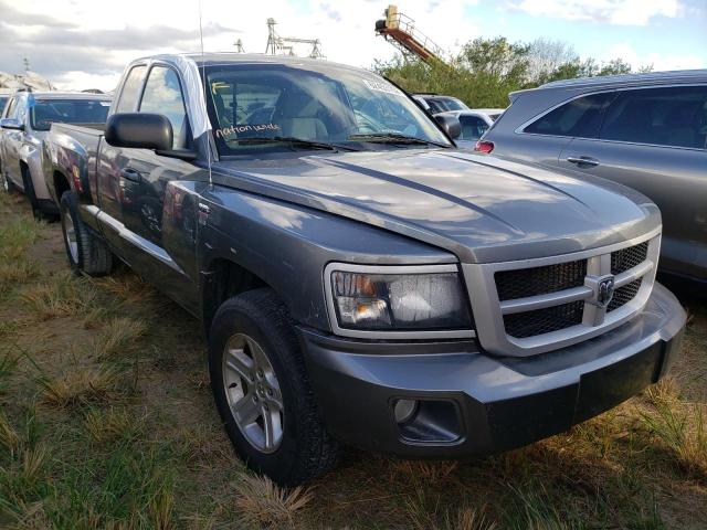 Photo 0 VIN: 1D7RE3BP9BS503382 - DODGE DAKOTA SLT 