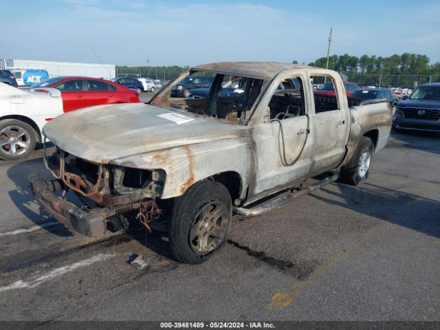 Photo 1 VIN: 1D7RE3GK1BS580888 - DODGE DAKOTA 