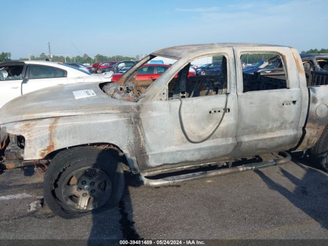 Photo 5 VIN: 1D7RE3GK1BS580888 - DODGE DAKOTA 