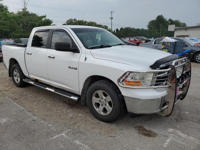 Photo 3 VIN: 1D7RV1CP2AS183470 - DODGE RAM 1500 