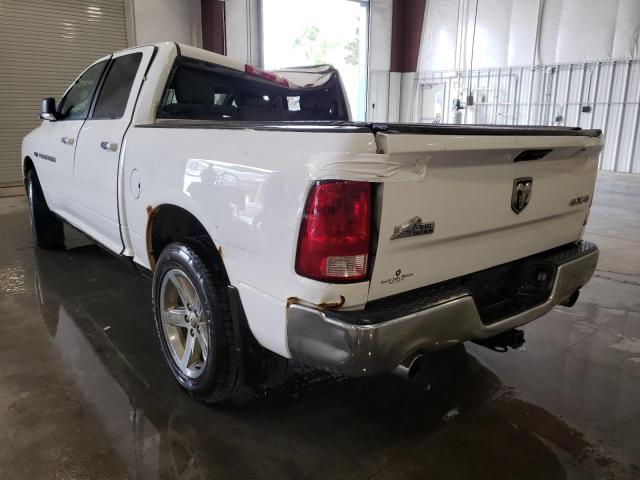 Photo 2 VIN: 1D7RV1CT2BS679139 - DODGE RAM 1500 