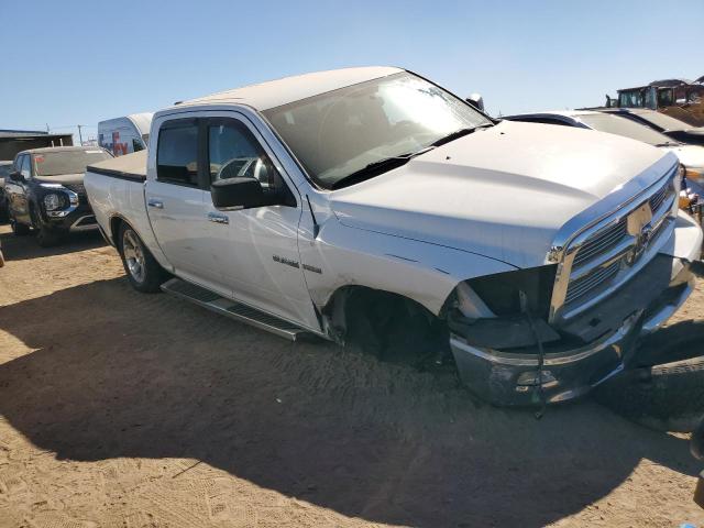 Photo 3 VIN: 1D7RV1CT6AS136892 - DODGE RAM 1500 