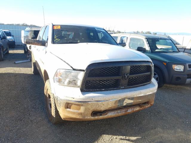 Photo 0 VIN: 1D7RV1CT9BS571360 - DODGE RAM 1500 