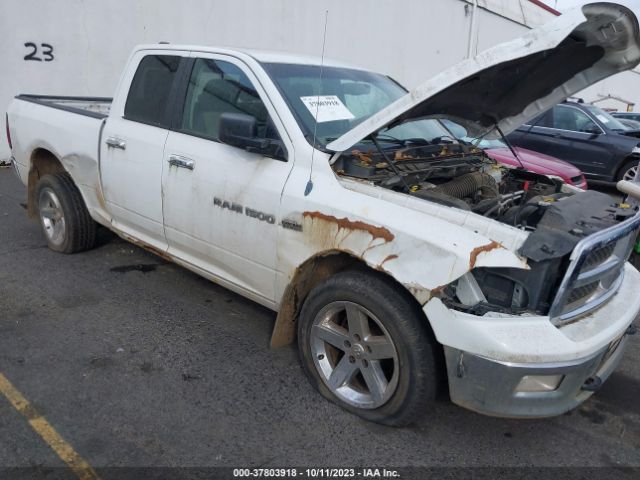 Photo 5 VIN: 1D7RV1GT3BS684294 - RAM RAM 1500 