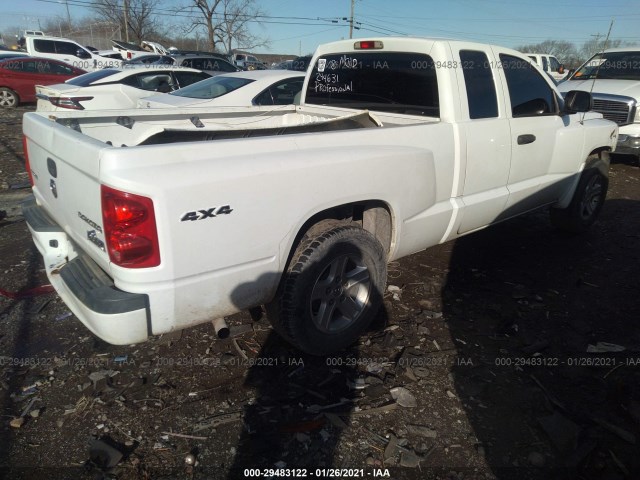 Photo 3 VIN: 1D7RW3BK1AS244631 - DODGE DAKOTA 