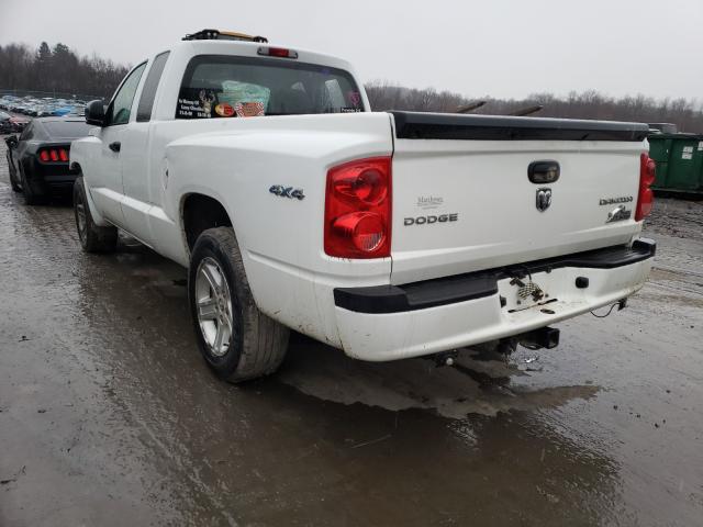 Photo 2 VIN: 1D7RW3BK4BS543290 - DODGE DAKOTA SLT 