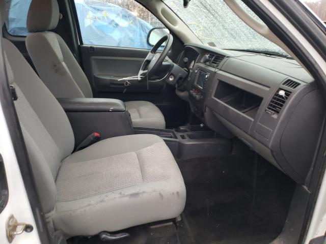 Photo 4 VIN: 1D7RW3BK4BS543290 - DODGE DAKOTA SLT 