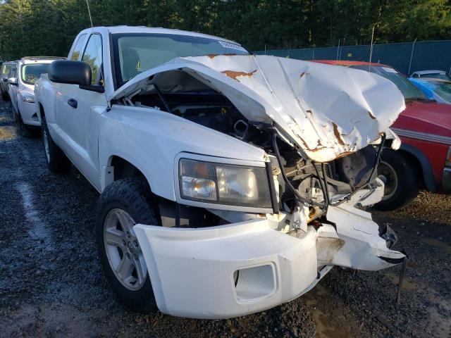 Photo 0 VIN: 1D7RW3BK6BS683955 - DODGE DAKOTA SLT 