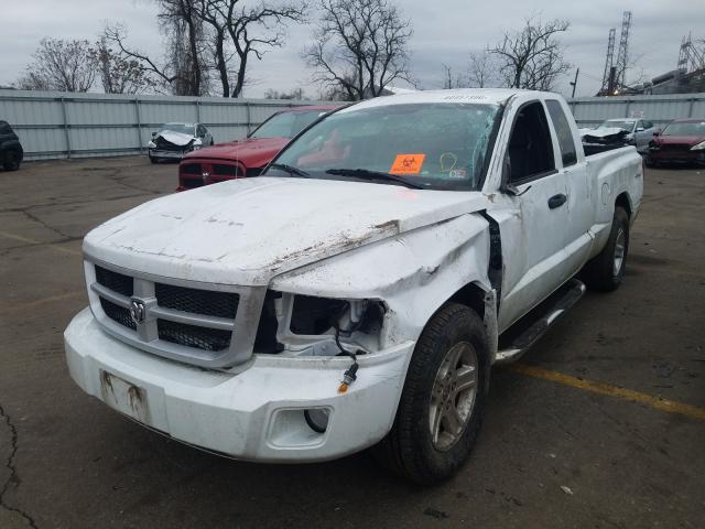 Photo 1 VIN: 1D7RW3BK8BS563090 - DODGE DAKOTA SLT 