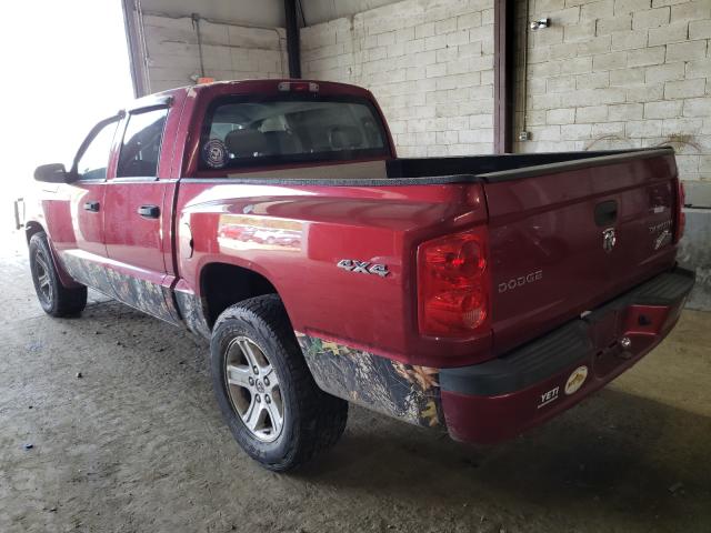 Photo 2 VIN: 1D7RW3GK0BS585688 - DODGE DAKOTA SLT 