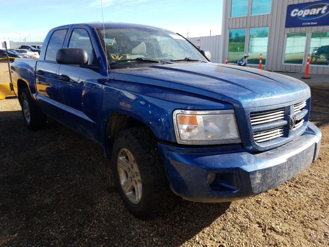 Photo 0 VIN: 1D7RW3GK2BS573879 - DODGE DAKOTA SLT 