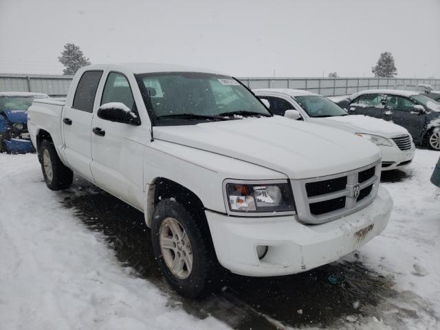 Photo 0 VIN: 1D7RW3GK3BS525758 - DODGE DAKOTA SLT 