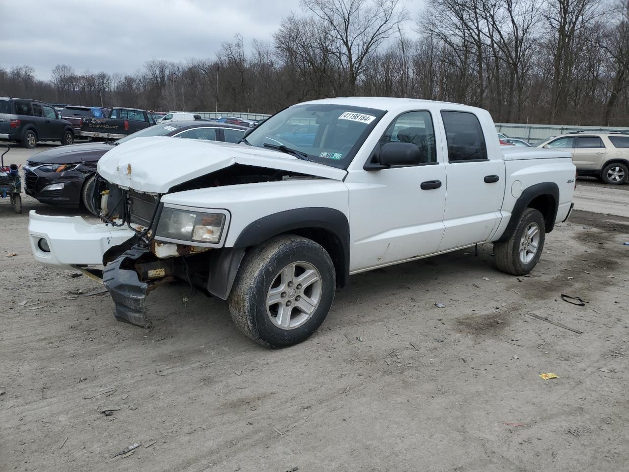 Photo 0 VIN: 1D7RW3GK6BS650947 - DODGE DAKOTA 