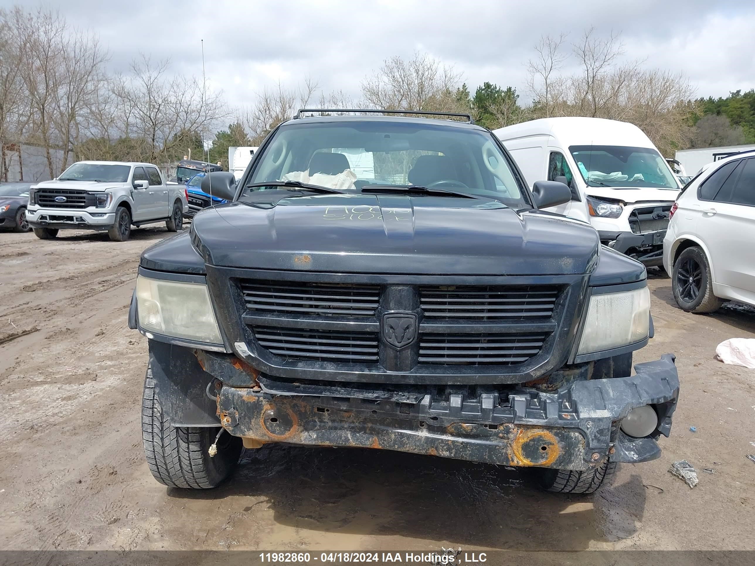 Photo 11 VIN: 1D7RW3GK7BS649824 - DODGE DAKOTA 