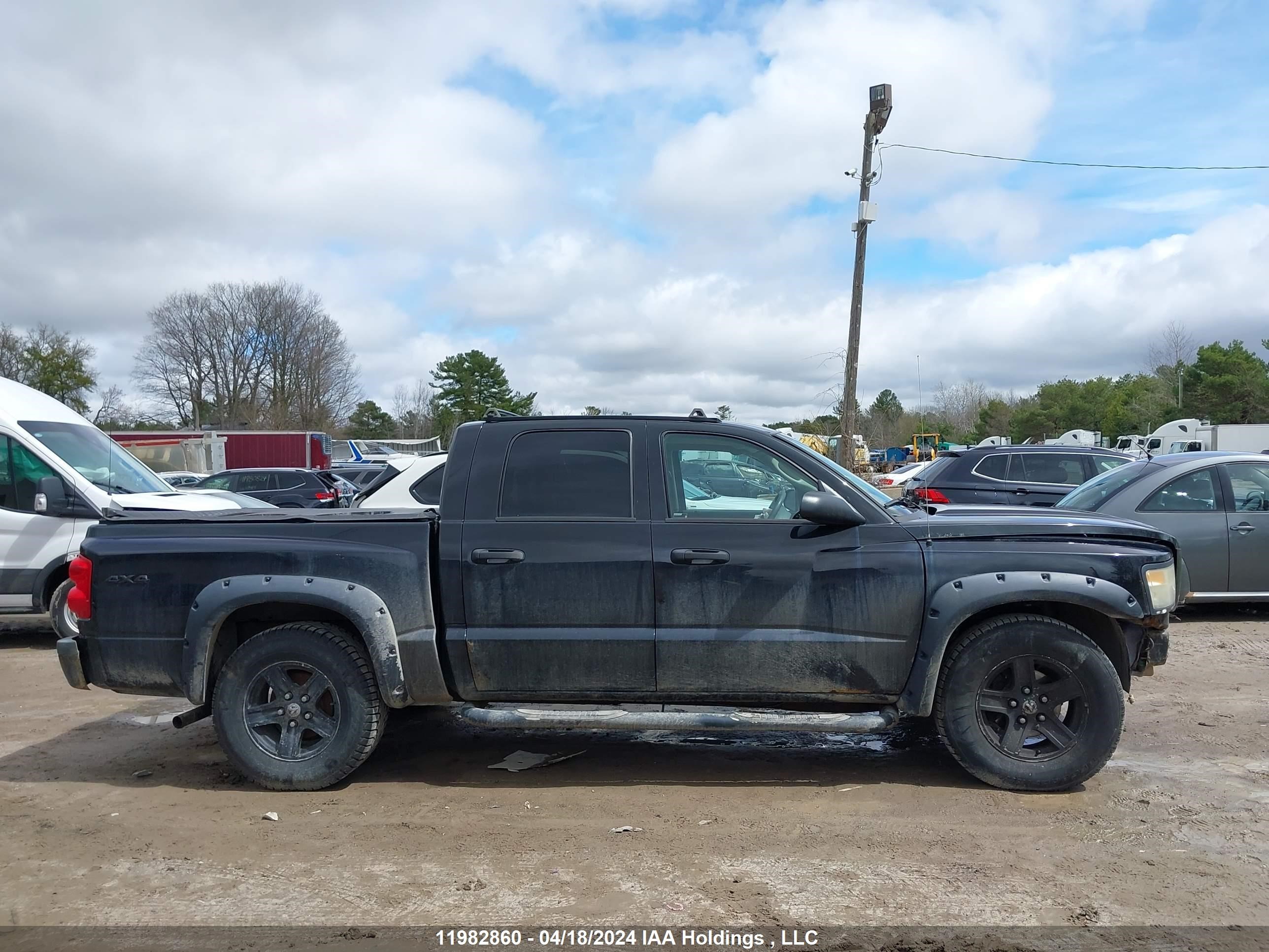 Photo 12 VIN: 1D7RW3GK7BS649824 - DODGE DAKOTA 