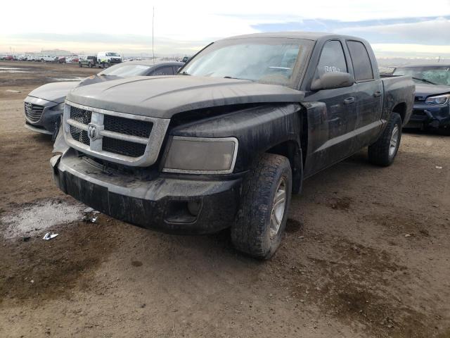 Photo 1 VIN: 1D7RW3GK9BS581056 - DODGE DAKOTA SLT 