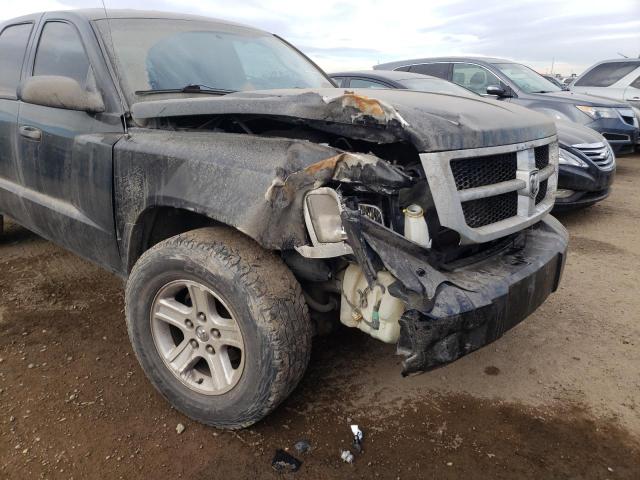 Photo 8 VIN: 1D7RW3GK9BS581056 - DODGE DAKOTA SLT 