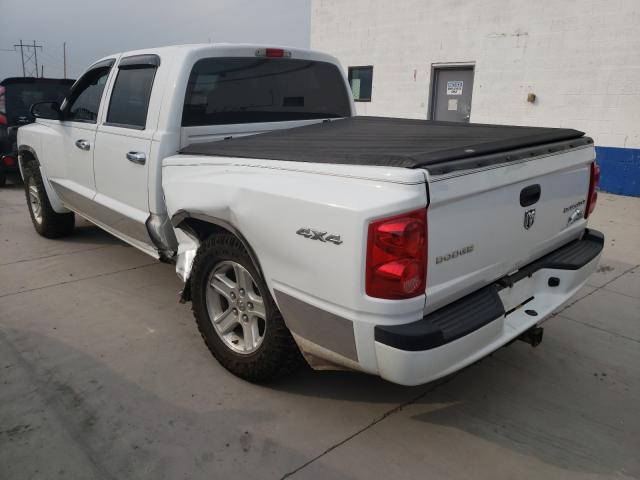 Photo 2 VIN: 1D7RW3GKXBS512019 - DODGE DAKOTA SLT 