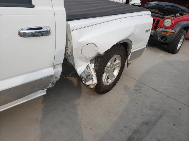 Photo 8 VIN: 1D7RW3GKXBS512019 - DODGE DAKOTA SLT 