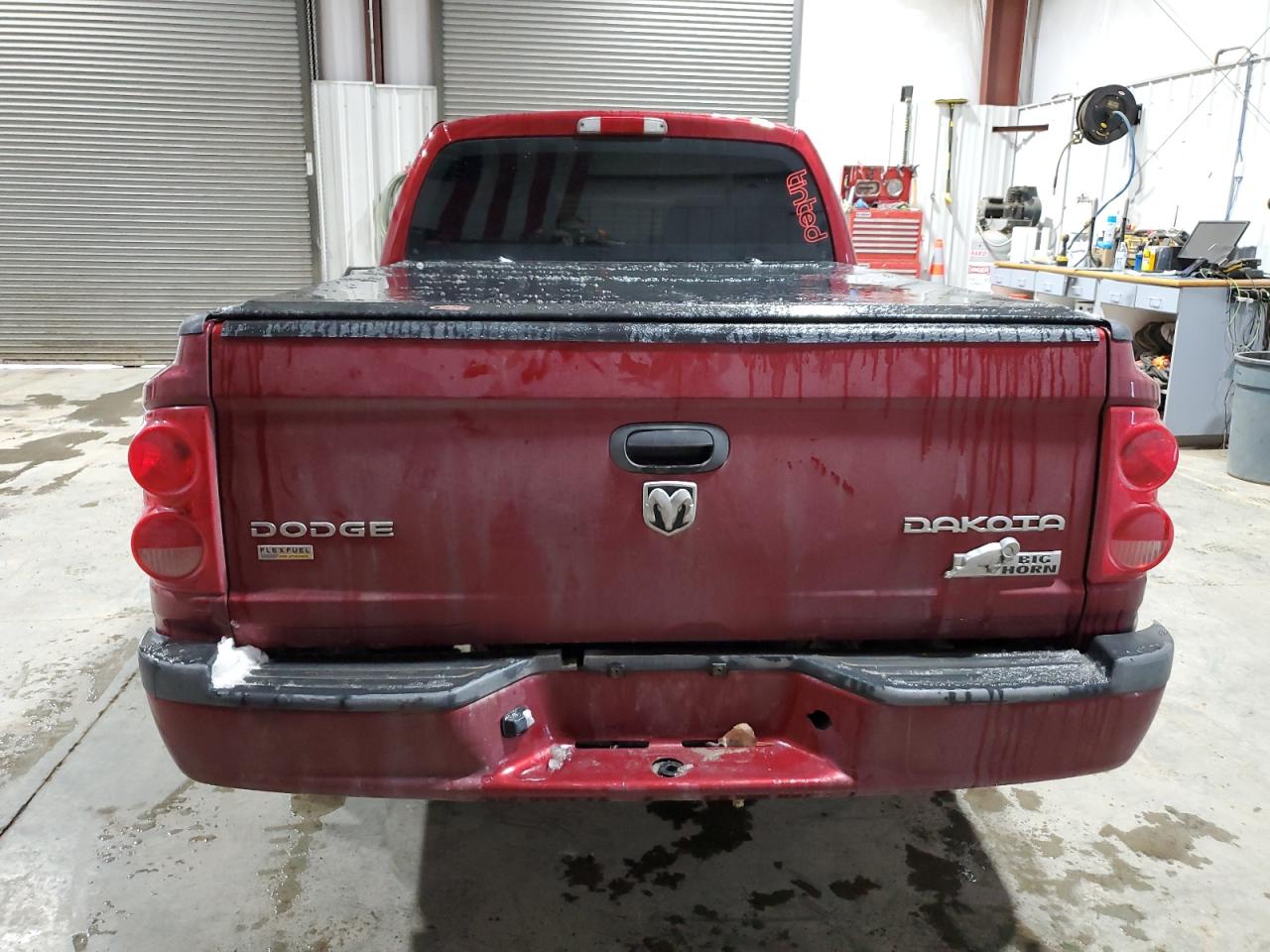 Photo 5 VIN: 1D7RW3GP1BS559516 - DODGE DAKOTA 