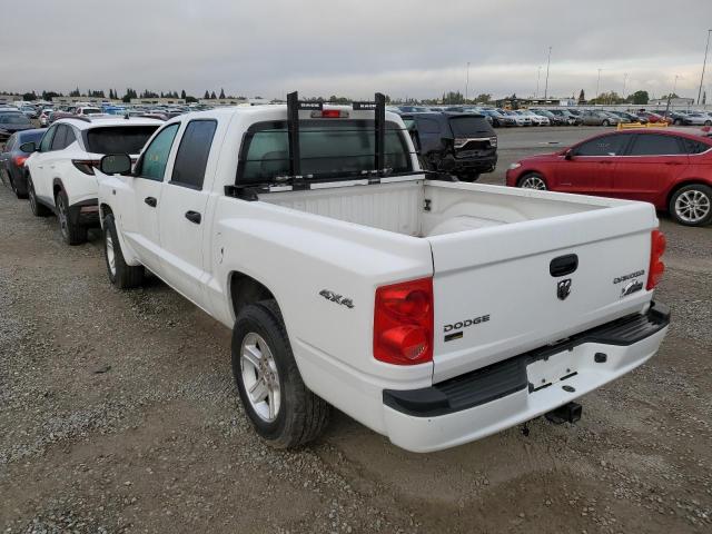 Photo 2 VIN: 1D7RW3GP4BS572129 - DODGE DAKOTA SLT 