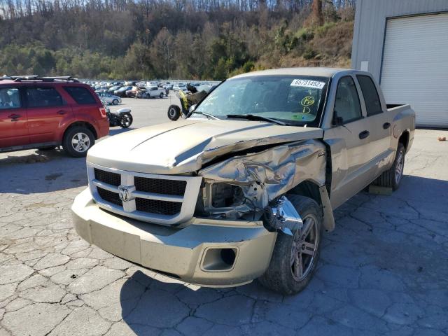 Photo 1 VIN: 1D7RW3GP5BS504745 - DODGE DAKOTA SLT 