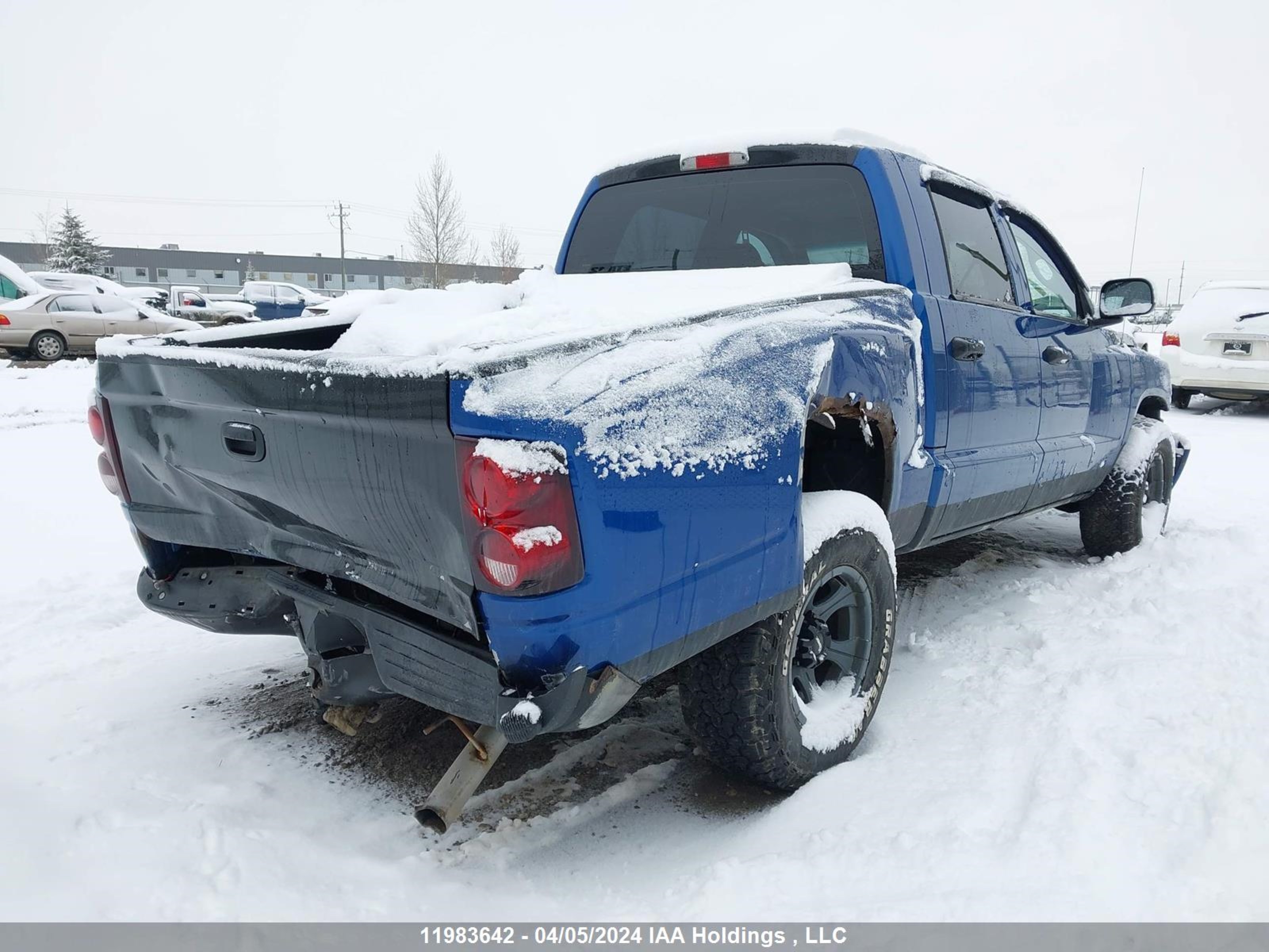 Photo 3 VIN: 1D7RW3GP5BS594804 - DODGE DAKOTA 