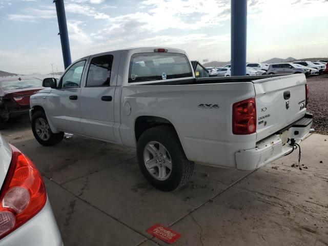 Photo 1 VIN: 1D7RW3GP6BS648997 - DODGE DAKOTA 