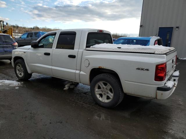 Photo 1 VIN: 1D7RW3GPXBS695899 - DODGE DAKOTA 