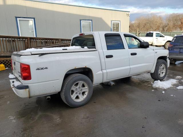 Photo 2 VIN: 1D7RW3GPXBS695899 - DODGE DAKOTA 