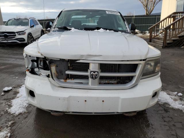 Photo 4 VIN: 1D7RW3GPXBS695899 - DODGE DAKOTA 