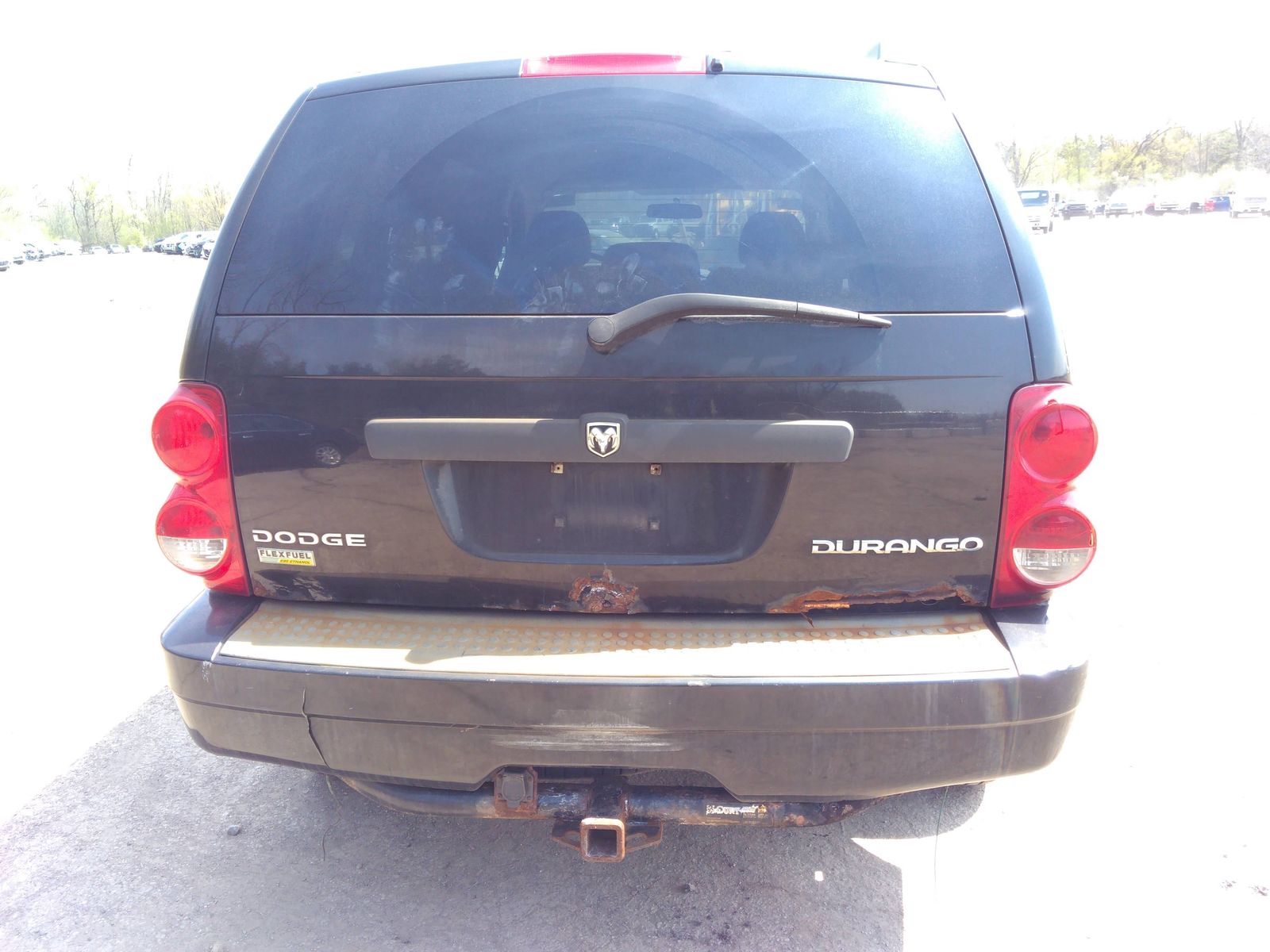 Photo 12 VIN: 1D8HB38P69F710998 - DODGE DURANGO 4X4 V8 