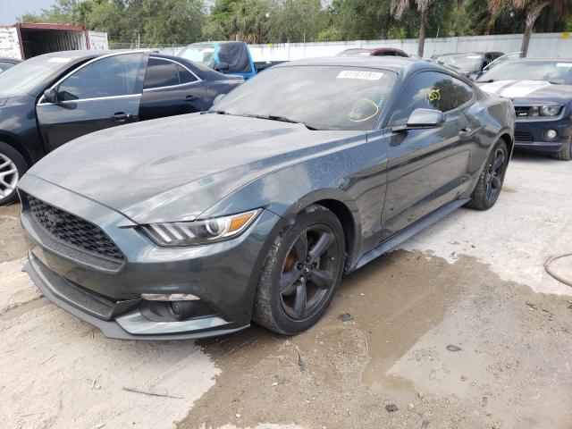 Photo 1 VIN: 1FA6P8AM0F5309197 - FORD MUSTANG 