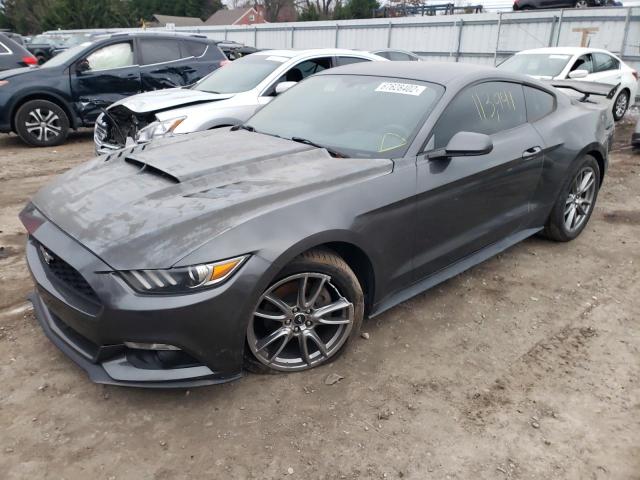 Photo 0 VIN: 1FA6P8AM0F5313511 - FORD MUSTANG 