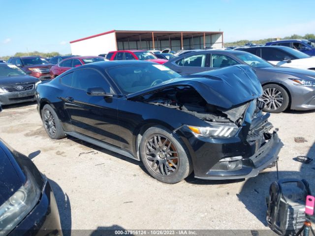 Photo 0 VIN: 1FA6P8AM0F5314237 - FORD MUSTANG 