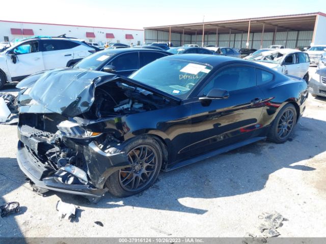 Photo 1 VIN: 1FA6P8AM0F5314237 - FORD MUSTANG 