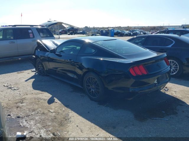 Photo 2 VIN: 1FA6P8AM0F5314237 - FORD MUSTANG 