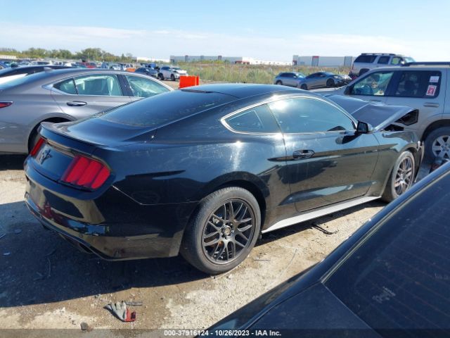 Photo 3 VIN: 1FA6P8AM0F5314237 - FORD MUSTANG 