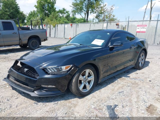 Photo 1 VIN: 1FA6P8AM0F5346296 - FORD MUSTANG 