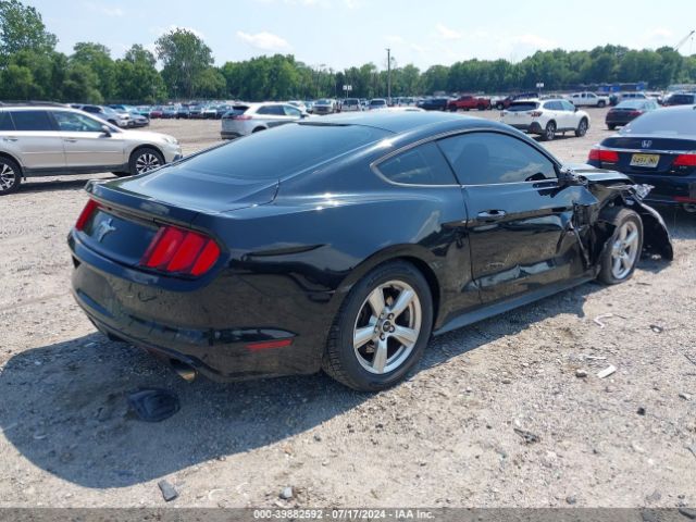 Photo 3 VIN: 1FA6P8AM0F5346296 - FORD MUSTANG 