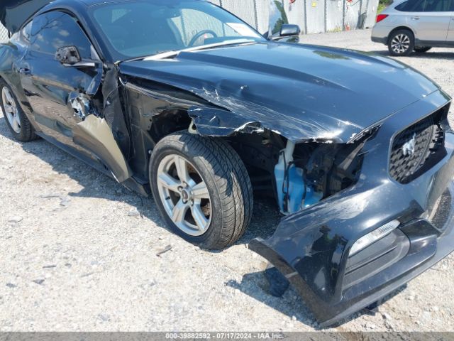 Photo 5 VIN: 1FA6P8AM0F5346296 - FORD MUSTANG 