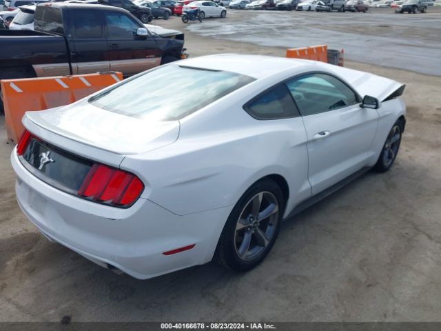 Photo 3 VIN: 1FA6P8AM0F5358805 - FORD MUSTANG 