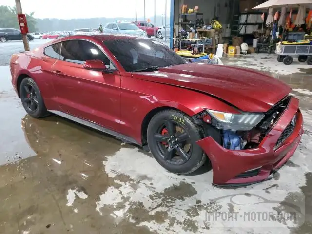 Photo 3 VIN: 1FA6P8AM0F5365687 - FORD MUSTANG 