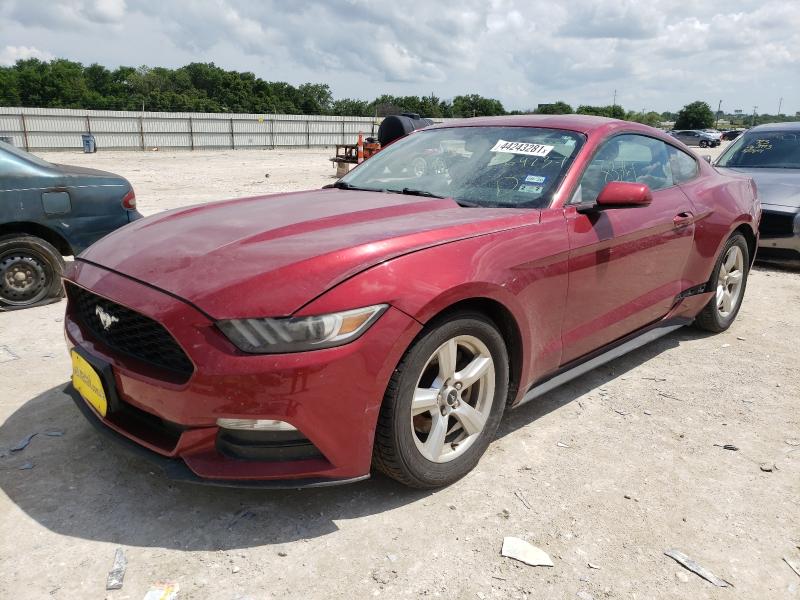 Photo 1 VIN: 1FA6P8AM0F5369237 - FORD MUSTANG 