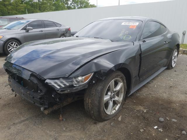 Photo 1 VIN: 1FA6P8AM0F5373434 - FORD MUSTANG 