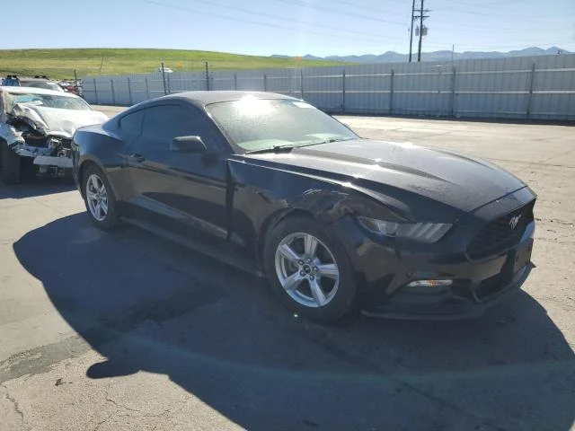 Photo 3 VIN: 1FA6P8AM0F5379539 - FORD MUSTANG 