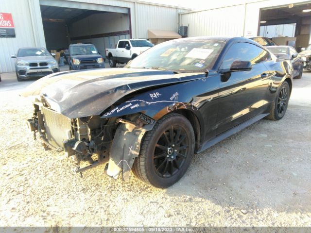 Photo 1 VIN: 1FA6P8AM0F5399709 - FORD MUSTANG 