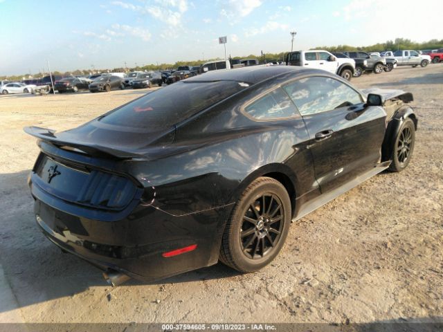 Photo 3 VIN: 1FA6P8AM0F5399709 - FORD MUSTANG 