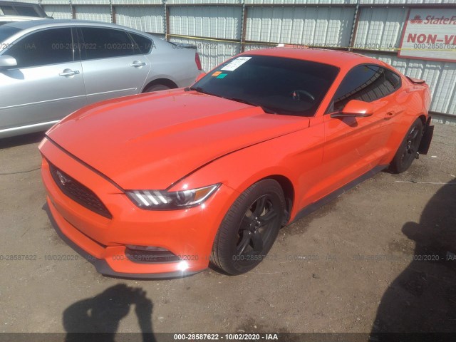 Photo 1 VIN: 1FA6P8AM0F5408148 - FORD MUSTANG 