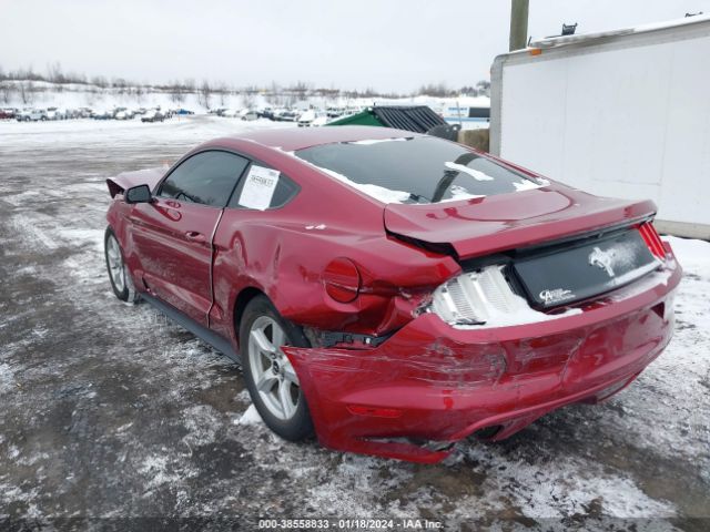 Photo 2 VIN: 1FA6P8AM0G5201504 - FORD MUSTANG 